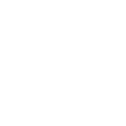 video (3)